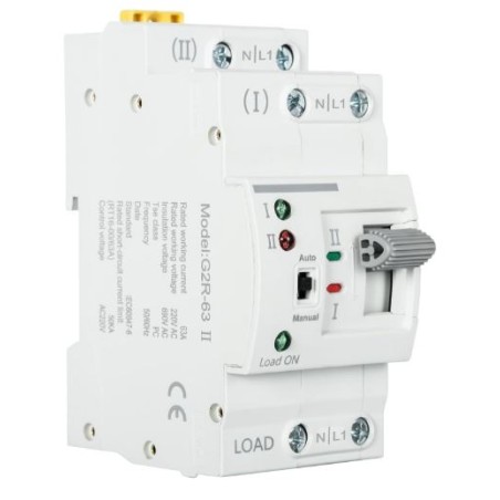 Automatic Networking Switch 2P 63 AMP