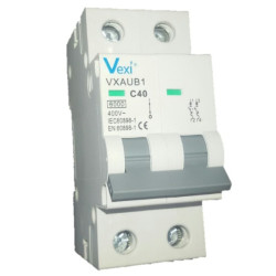 Magnetotérmico Bipolar 6 KA Industrial