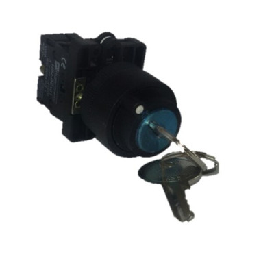 Selectores de Llave de Plástico 2 Posiciones